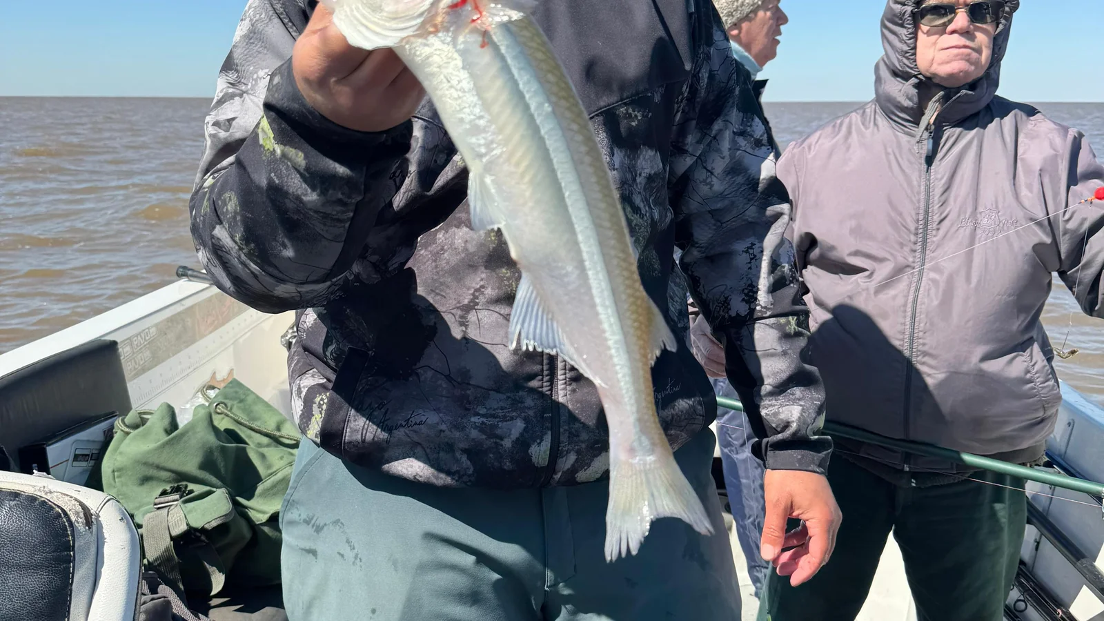 Dorado