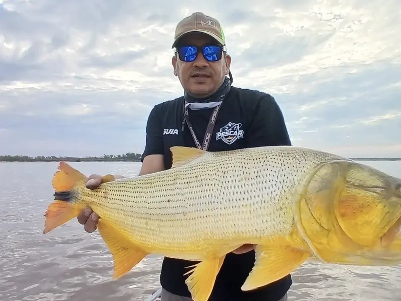 Andres Pesca