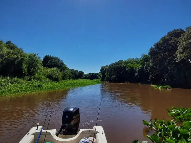 Rebo Pesca