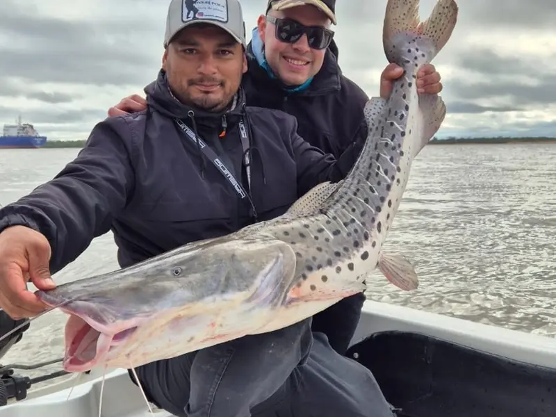 Mauri Pesca
