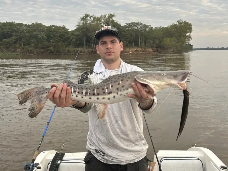 Camilo Pesca