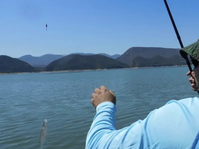 Ariel Eduardo Pesca